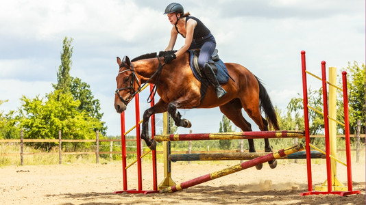 女骑师马培训体育活动跃的女骑师马培训跳过围栏的骑马培训术比赛和活动背景图片