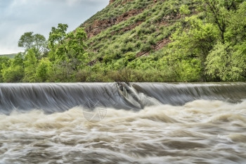 从河流中取水用于农田灌溉的水坝科罗拉多州FortCollins附近CachelaPoudre河春季用水流量高图片