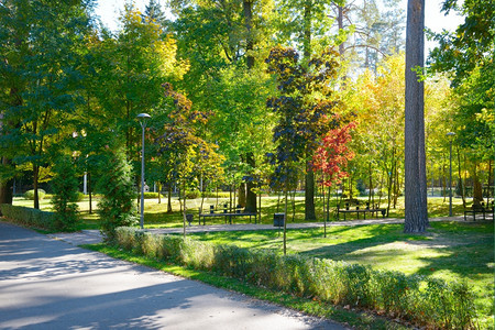 公园的秋天风景图片