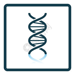 DNA图标图片