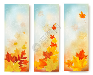 三个带有颜色叶子的抽象秋季横幅矢量图片