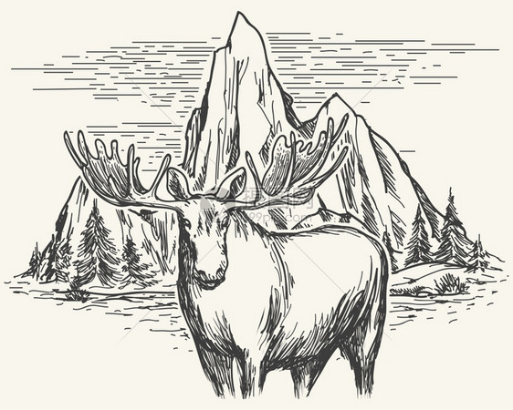 手绘湖泊山地树木和驼鹿的风景图片