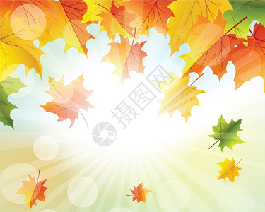 秋天空秋天框架空背景上有落叶太阳光线和理想平衡颜色的优雅设计矢量I说明插画