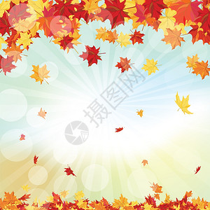 秋天美女秋天框架空背景上落满月的秋天叶插画