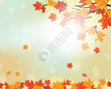 秋季离开背景透明网状的矢量图示EPS10图片