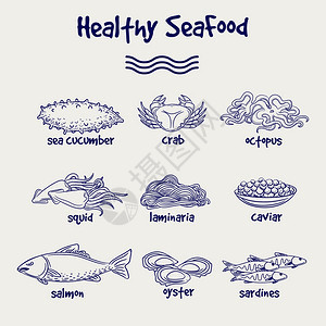 以球笔风格设置的健康海产食品手画的健康海产食品组合以球笔绘画风格制矢量插图图片