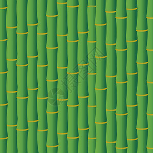 竹子矢量竹树背景生态亚洲向量概念绿竹茎背景背景