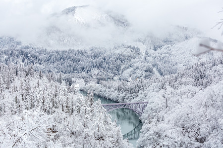 冬季风雪覆盖了河流和桥梁的树木背景图片