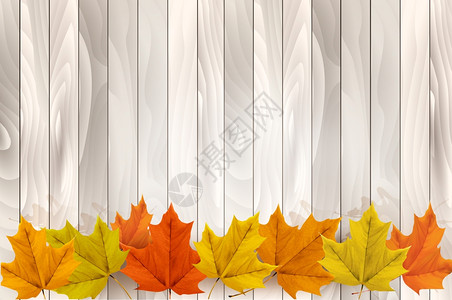 感恩节的快乐背景有丰富多彩的叶子和木质背景矢量图片