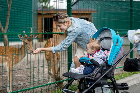 鹿和人快乐的母亲和婴幼儿通过动物园的栅栏喂养动物背景
