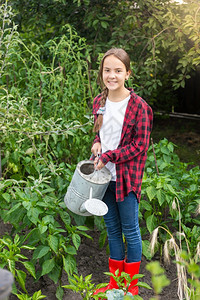 年轻女园艺员用成熟的蔬菜浇灌花园床图片