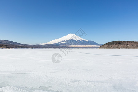 日本冬季寒雪期间在日本亚马纳卡湖IcedYamanakaIced的冬藤山图片