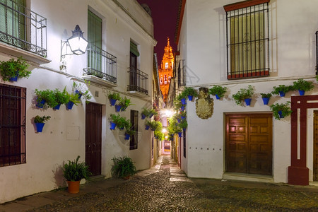 西班牙安达卢亚市Cordoba老犹太区著名鲜花街CallejadelasFlores和BellTowerMezquita的白墙花图片