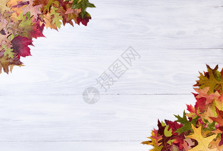 白色木质背景边角有秋叶图片