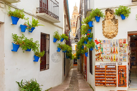西班牙科尔多瓦老犹太区著名花街CallejadelasFlores和西班牙安达卢亚市BellTowerMezquita的白墙上花图片