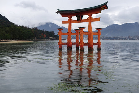 日本宫岛的漂浮托里城门图片