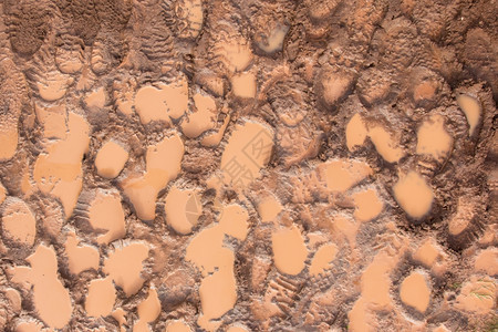 湿泥加上脚印在冰岛徒步足迹图片