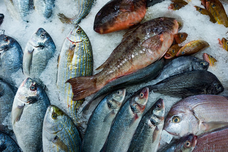 新鲜海市场上的新鱼图片