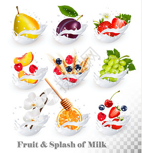 水果牛奶矢量元素图片