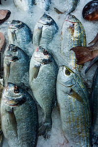 新鲜海市场上的新鱼图片