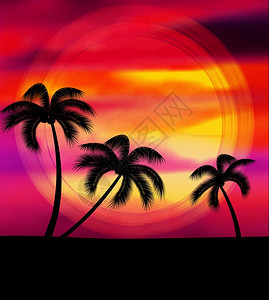 日落和棕榈树剪影背景图片