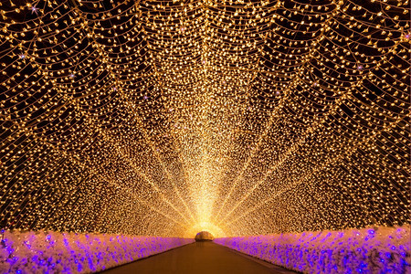 日本名古屋冬季夜间南大拿不佐藤花园图片
