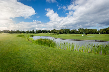 阳光明媚高尔夫球场风景美丽缺水背景图片