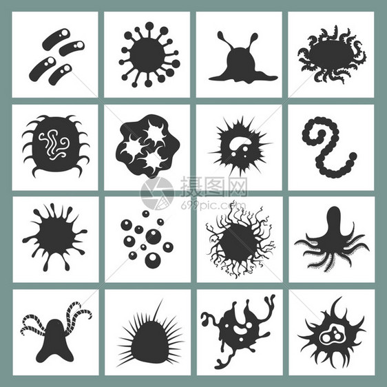细胞病传图标生物学免疫细菌和感染微生物在白本中分离的症状图片