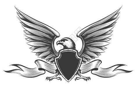 用翅膀盾牌和丝带吉祥物矢量雕刻白底孤立的美国秃鹰图片