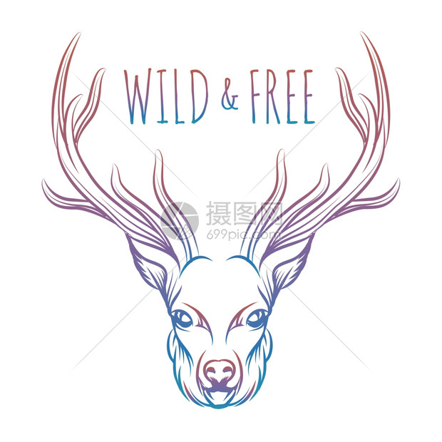 手画多彩的鹿和字母手画多彩的鹿和字母符号是野生和自由的矢量隔离鹿用于指纹标签等图片