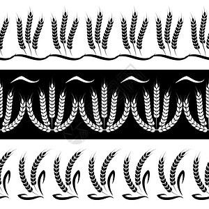 小麦分支无缝边界设置黑白小麦分支设置无缝边界黑白小麦分支设置无缝边界图片