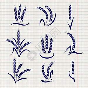 笔记本页上的小麦枝笔记本页背景上的小麦枝矢量农业符号设计图片