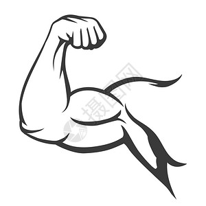 健的肌肉伸缩手臂健壮的肌肉伸展手臂白色背景上孤立的男运动健壮的Biceps运动健壮的手矢量图标图片