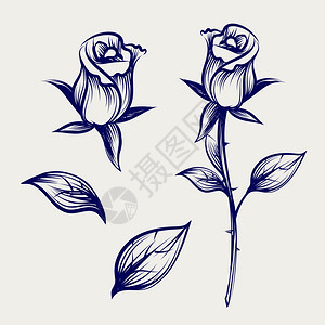 鲜花和叶子玫瑰芽和灰色背景的叶子矢量插图图片