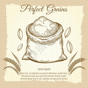 整袋面粉用于包或收获的矢量面粉海报优质产品徽章图片