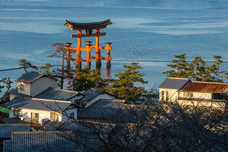 日本宫岛大浮门OTorii高角环景图片
