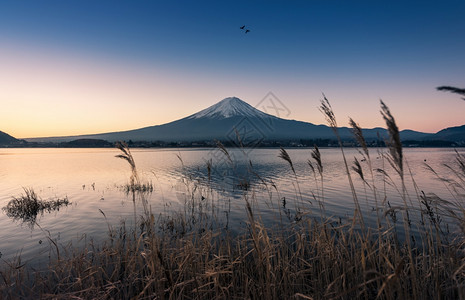 清晨富士山与宁静的湖图片