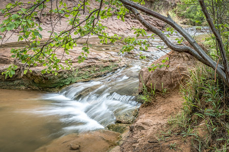 犹他州穆阿布地区犹他州春天风景的GrandstaffCanyon以前称为NegroBillCanyon小溪图片