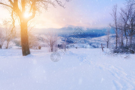 冬季高山雪地图片