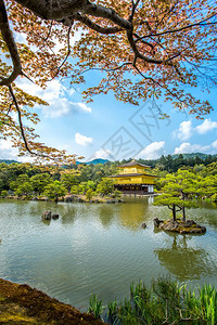 日本京都金宫寺殿建筑图片