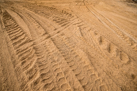 沙上的轮曲图片