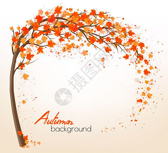 秋天背景树和多彩的叶子矢量图片