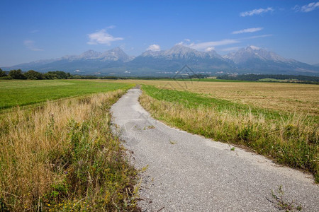 田地和高山脉之间的农村和高山地带公路图片