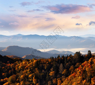 美国大烟山家公园Smoky山的秋色图片