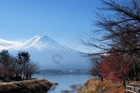 秋天川口湖周围的藤山风景图片