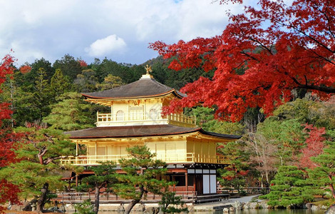 茈碧莲秋天叶红的金碧莲在角寺的碧莲背景