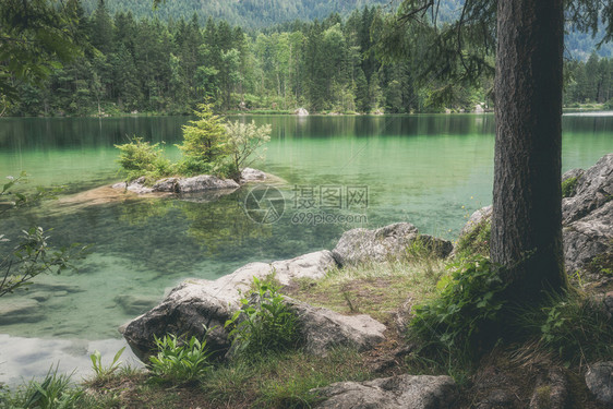 阿尔卑山夏季湖图片
