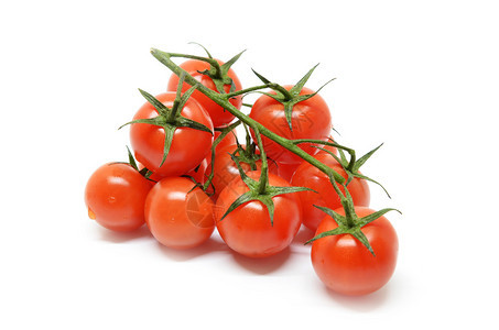 白背景孤立的红樱桃番茄背景图片