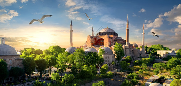 土耳其伊斯坦布尔日落时鸟和HagiaSophia图片