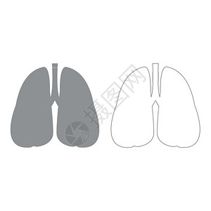 肺灰色套件图标肺灰色套件图标图片